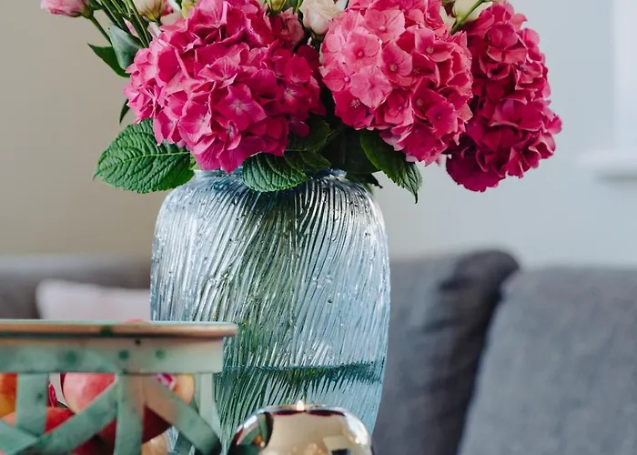 Baeum Hues A * Westerland